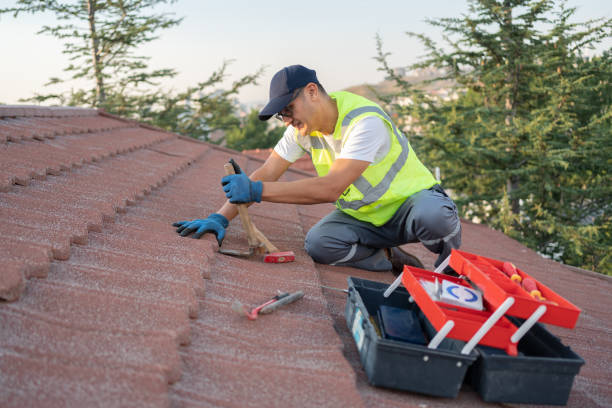 Best Roof Maintenance Services  in Tonganoxie, KS